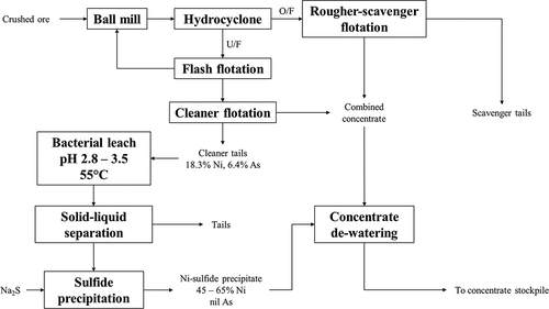 Figure 10. Simplified process flow diagram for bacterial leaching (BioHeaptm) of high arsenic nickel flotation cleaner tailings at the Cosmic Boy nickel concentrator, Forrestania Nickel Project (western Australia), owned and operated by Western Areas Limited. Adapted from Fewings et al. (Citation2016).