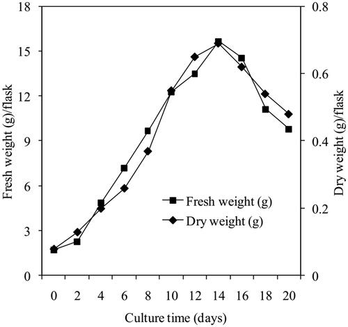 Figure 2. Time course of E. longifolia cell growth.