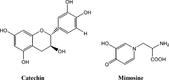 Figure 3 Chemical structures of catechin and mimosine.