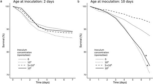 Figure 2. Percent of mean daily survival from inoculation to the end of the experiment. (a) bees inoculated on 2nd day post-emergence; (b) bees inoculated on 10th day post-emergence. Concentration of 0 spores/bee means control groups. Asterisks indicate significant differences compared to control (log-rank test, α = 0.05).