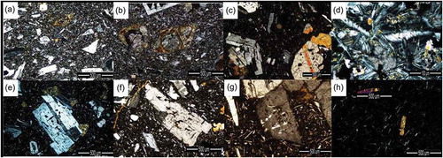 Figure 4. Petrological analysis: (a) clinopyroxene andesite with porphyritic texture; (b) fragmented pyroxene and olivine pseudomorphs completely replaced; (c) basaltic andesite with porphyritic texture; (d) groundmass containing plagioclase, magnetite and interstitial glass replaced by clay minerals; (d) porphyritic texture with megascopically glassy groundmass; (f) sieve texture in plagioclase; (g) occurrence of the zeolites as radial fibrous aggregates in plagioclase; (h) trachyandesite.