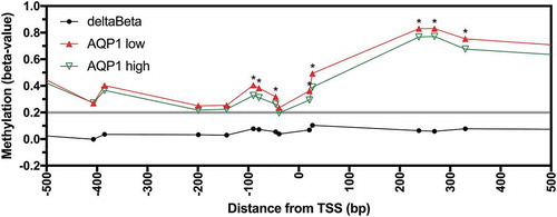 Figure 3. Methylation of AQP1 in low and high AQP1 expressing colorectal carcinoma from patients in the combined TCGA-COAD and TCGA-READ datasets. Average beta-values for all available individual probesets located in the region −500 to +500 bp from the AQP1 transcription start site (TSS) for AQP1 low (n = 127) and high (n = 190) expressing colorectal carcinoma. Differential methylation (deltaBeta) was calculated by subtracting the average beta-value of AQP1 high from AQP1 low expressing CRC. Comparisons between AQP1 low and AQP1 high were considered statistically significant when the adjusted P value (adj. P) for the unpaired Welch’s t-test with Bonferroni correction for multiple comparisons was < 0.05. * adj. P < 0.05.