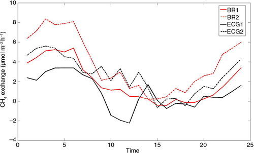 Fig. 10 Diel pattern of CH4 exchange binned hourly for the entire measurement period.