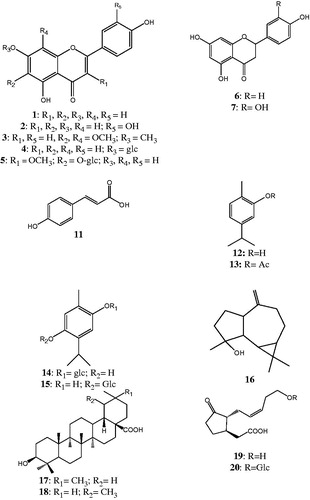 Figure 1. Structures of substances isolated from the extracts of O. dubium.