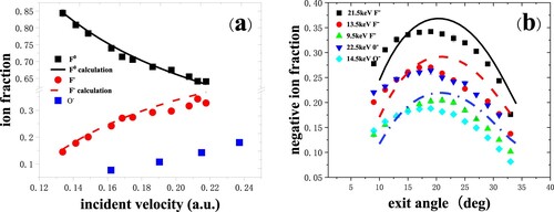 Figure 9. (a) Neutral and negative-ion fractions as a function of incident velocity are measured for 8.5–22.5 keV O-, F- in specular scattering on Si(100). The black solid and red dash lines are the calculated results from the coupled rate equations (Citation10). (b) Negative-ion fractions as a function of exit angle with respect to the surface plane are measured for 9.5 keV, 13.5 keV and 21.5 keV F-and 22.5 keV, 14.5 keV O- scattering on Si(100). The black solid, red dash and blue dot lines are the calculated results.