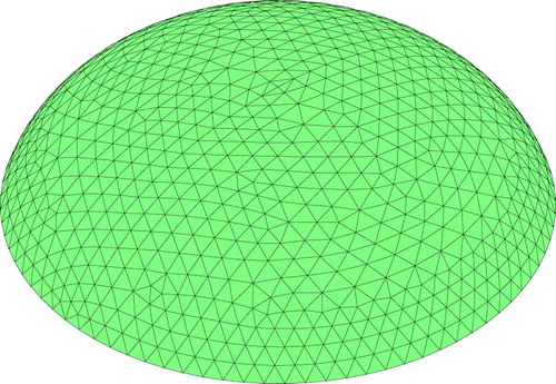 Figure 1. Typical finite element mesh generated for an individual.