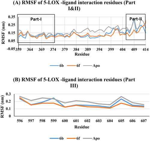 Figure 19. RMSF of 5-LOX -ligand interaction residues, Apo (Grey), 6b (Blue), and 6f (red): (A) Part I and II and (B) Part III.