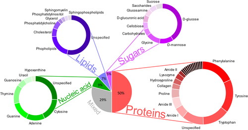 Figure 2. Raman peak assignment on cancerous saliva samples (n = 732). An overview pie chart of the most prominent peaks in the literature displayed by their biomolecular group. A subset of the Raman-saliva literature with a perceived focus on chemometrics has been analyzed. Further details are included in Supporting Information, Figure S1–S2 and Table S3.