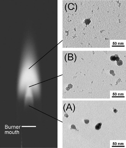 FIG. 6 Photograph of a H2 synthesis flame and TEM micrographs of iron oxide (or iron) particles taken from flame interior. The particles were sampled thermophoretically at 15 mm (A), 25 mm (B) and 35 mm (C) above the burner, respectively. For reference, the highest luminous tip of the flame is about 45 mm above the burner mouth. The micrographs indicate that particles of the small size mode started forming in the maximum temperature region in the flame. 88 × 104 mm (300 × 300 DPI).