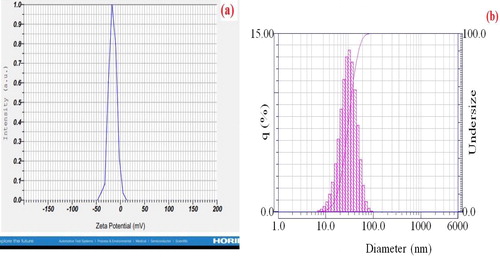 Figure 7. (a) Zeta potential graph of Synthesized AgNPs, (b) Particle size analysis diagram of Green Synthesized Silver nanoparticles by Summer savory extract.