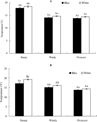 FIGURE 5 Mean petal temperatures (A) of blue and white flowers (B) and anther temperatures during flower opening on sunny and overcast days. Values are given as mean ± 1SE. Significant differences between the blue and white flowers in the same survey are indicated by different capital letters, and significant differences among different surveys for the same flower color are indicated by different lower-case letters (both are at p < 0.05 level). The sample size (N) is 150 for each color in (A) and (B).