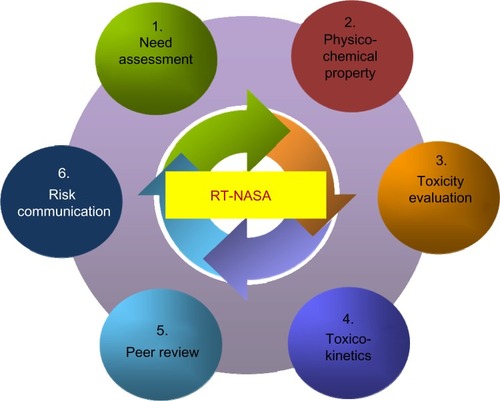 Figure 2 Six functional steps of the nanosafety process established by the Research Team for Nano-Associated Safety Assessment (RT-NASA).