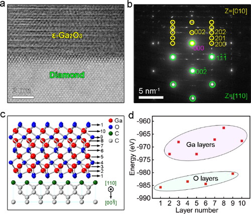 Figure 3. (a) STEM image of the ε-Ga2O3/diamond interface. (b) SAED pattern taken from the ε-Ga2O3/diamond interface. Diffraction spots marked by green and yellow circles represent diamond (with [110] zoon axis) and ε-Ga2O3 (with [010] zoon axis), respectively. (c) Atomic model of the ε-Ga2O3/diamond interface. The red and blue balls represent Ga and O atoms. The green and white balls represent the C atoms at the surface and inner of diamond substrate, respectively. (d) The calculated total energies of different atomic layers of ε-Ga2O3 contacting with (001) diamond substrate.