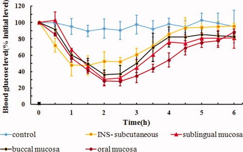 Figure 3. In vivo hypoglycemic effect of IPC-DNVs with different delivery sites (mean ± SD, n = 3).