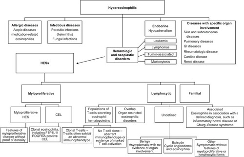 Figure 3 A general diagnostic approach for patients with hypereosinophilia.