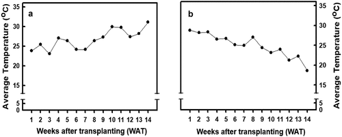 Figure 1. The variations in the environmental temperature as recorded throughout the experiment. (A) the average environmental temperature recorded during the spring cultivation; (B) the average environmental temperature recorded during the autumn cultivation.