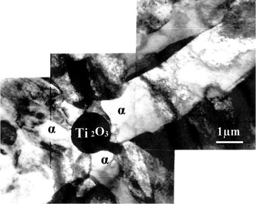 Figure 47. Thin foil showing several ferrite laths, α, nucleated at a Ti2O3 particle (after Byun et al. [Citation276]).