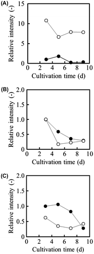 Fig. 5. RT-PCR Analyses of Genes in A. niger Strains Cultivated under Citric Acid-Producing Conditions.Note: The relative intensity of the actin gene (act1) from WU-2223L obtained after a 3-d cultivation is represented as 1.0. A, NADP+-ICDH gene (icdA). B, NAD+-ICDH gene (idhA); C, ICL gene (icl1). The quantitative analysis of the transcriptional levels was conducted with Scion Image (Scion).