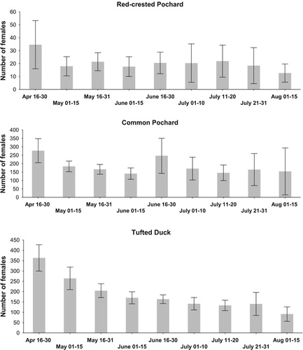 Figure 3. Seasonal variation in the numbers of female duck recorded in the study area (bars show means ± 0.95 confidence intervals).