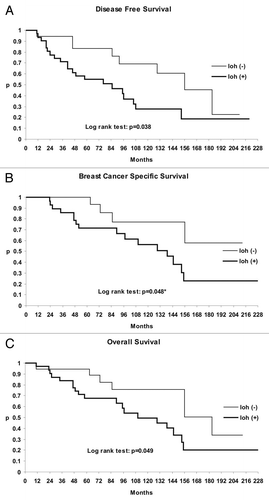 Figure 3. Kaplan-Meier survival curves. Patients with reduced or lost immunoexpression of PTEN due to loss of heterozygosity showed significantly shorter (A) disease free survival, (B) breast cancer specific survival and (C) overall survival.