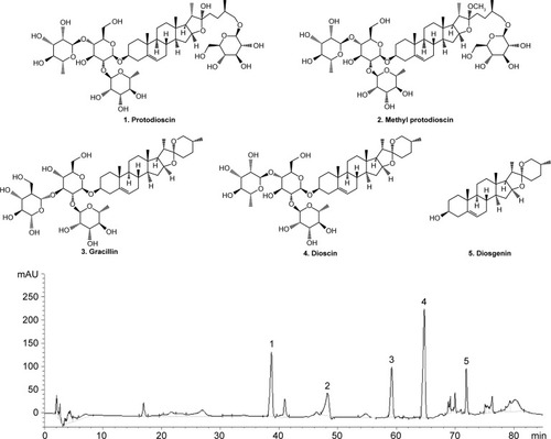 Figure 1 The HPLC chromatograms of TSD.Abbreivations: HPLC, high-performance liquid chromatography; TSD, total saponin of Dioscoreae hypoglaucae Palibin.