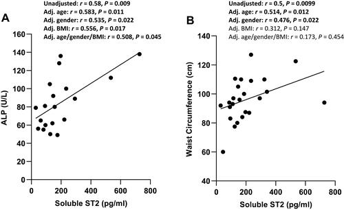 Figure 2 Correlation between sST2 and ALP and waist circumference in individuals with glycemia in the normal/prediabetes range. (A) sST2 was directly correlated with ALP in individuals with glycemia in the normal/prediabetes range. (B) sST2 was directly correlated with waist circumference in individuals with glycemia in normal/prediabetes range.Abbreviations: sST2, soluble suppression of tumorigenicity 2; ALP, alkaline phosphatase; BMI, body mass index; Adj., adjusted.
