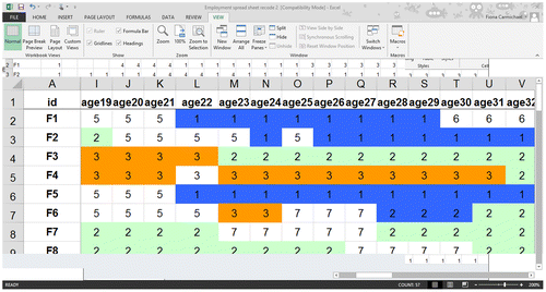 Figure 3. Screenshot of OHC data input in excel spreadsheet.