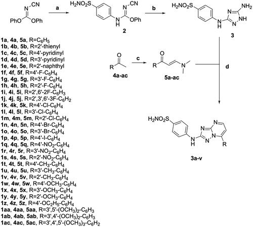 Scheme 1. Reagents. (a) THF, sulphanilamide, reflux, 18 h; (b) NH2NH2·H2O, THF, rx, 18 h; (c) DMF-DMA, DMF, reflux, 4 h; (d) AcOH, 80 °C, 4 h.