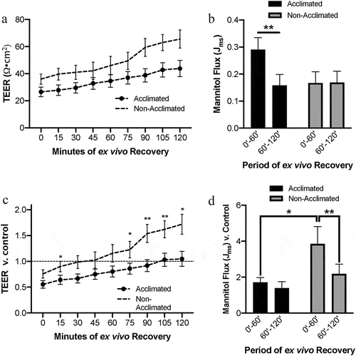 Figure 3. Combined effects of animal handing practices and acute ischemic injury on small intestinal barrier function