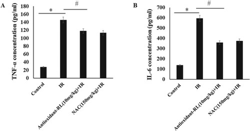 Figure 3. Antioxidant-RL reduces inflammatory factors in rats. Antioxidant-RL (10 mg/kg) reduced the plasma concentrations of TNF-α and IL-6 in different groups. *P < 0.05 represents significantly difference between IR and Sham group; #P < 0.05 represents significant difference between antioxidant-RL + IR and IR group.