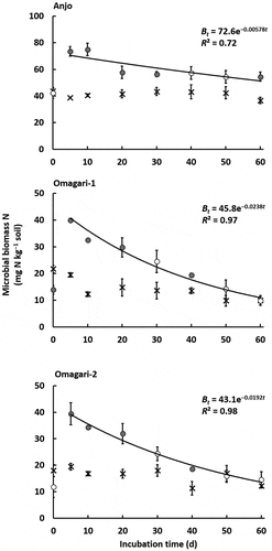 Figure 4. Changes in microbial biomass N (cross symbols, control; circle symbols, CNP treatment). Decay rate constants k in Anjo, Omagari-1, and −2 soils are 5.78 × 10−3, 2.38 × 10−2, and 1.92 × 10−2, respectively. Closed symbols in CNP treatment indicate significant differences between control and CNP treatments (P < 0.05). Lines express a first order exponential function. Bars indicate S.E. (n = 3).