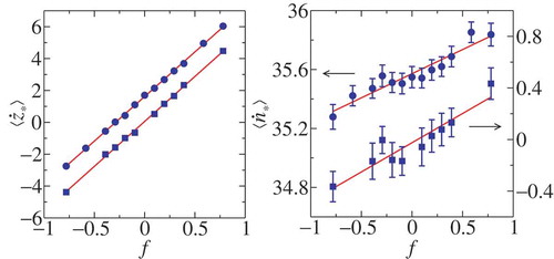 Figure 5. Simulations with microscopically reversible kinetics of the Janus motor subjected to an external force Fext and a magnetic field both oriented in the z-direction: Plots of the dependence on the rescaled force f of the rescaled average motor velocity in the z-direction, ⟨z˙∗⟩ (left), and of the rescaled reaction rate, ⟨n˙∗⟩ (right) for systems with (a) cˉA=10 and cˉB=9 (circles) and (b) cˉA=10 and cˉB=10 (squares). The results for (a) and (b) systems were obtained from averages over 200 and 100 realizations of the dynamics, respectively. The fits to the data are indicated by (a) upper and (b) lower lines. See Huang et al. [Citation62], for additional information.