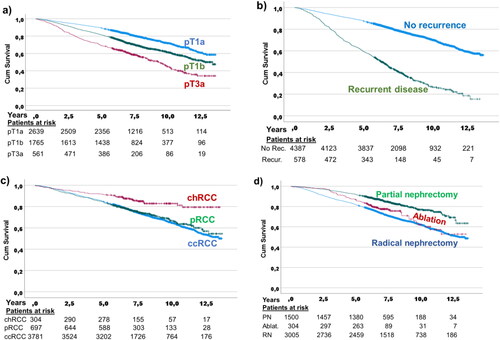 Figure 1. Kaplan-Meier curves of univariate overall survival probability in relation to (a) T stage, pT1a, versus pT1b versus pT3a, (p < 0.001 for all pair-wise differences), (b) patients with recurrent disease versus no recurrence (p < 0.001), (c) RCC types (p < 0.001 for chromophobe RCC versus papillary RCC versus clear cell RCC), and (d) treatment with partial nephrectomy, ablative treatment, and radical nephrectomy (p < 0.001 for partial nephrectomy versus ablation, and versus radical nephrectomy, respectively). Number of patients at risk are shown below corresponding time points.