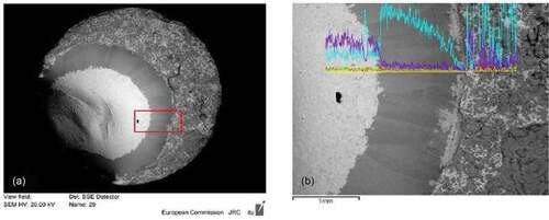 Fig. 7. (a) SEM image of COLOSS-20, where a dark Zr ring appears around the melted area and (b) zoom in the periphery of the melted area, with the evolution of Zr (light blue) and U (violet) composition along the line. Source: OECD (2021) (CitationRef. 11).