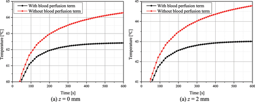 Figure 6. Temperature change with or without application of the blood perfusion term (Pl=100 mW, fv=10−4).