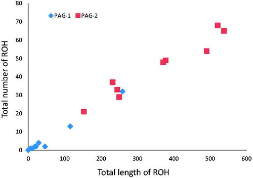 Figure 5. Relationship between the total number of runs of homozygosity (ROH) segments (y-axis) and the total length (Mb) of genome in such ROH (x-axis) for each individual of the two Pagliarola sub-populations: Pagliarola 1 (PAG-1) and Pagliarola 2 (PAG-2).