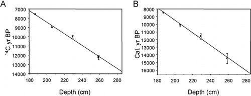 Figure 2 (A) 14C age-depth curve; and (B) calibrated age-depth curve for core E4-5; midpoint with error bars indicate 1σ maximum and minimum ages.