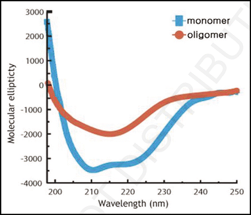 Figure 1 Circular dichroism spectra of monomeric oxidized huPrPC(23–231) (blue) and oligomeric reduced huPrPC(23–231) (red), recorded at 298 K. Monomeric oxidized huPrPC(23–231) (0.12 mM) was prepared in a buffer solution containing 10 mM sodium acetate and 10 mM tris-acetate, pH 8.0 and oligomeric reduced huPrPC(23–231) (1.9 mM) was prepared in a buffer solution containing 10 mM sodium acetate, 10 mM tris-acetate, pH 4.0.