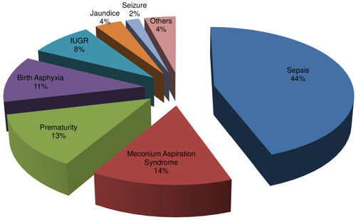 Figure 2 Diagnoses of newborns who were self-discharged.