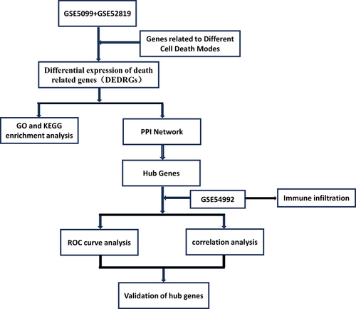 Figure 1 Workflow chart of the bioinformatics analysis.