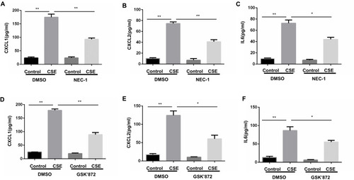 Figure 3 Inhibition of necroptosis alleviates CSE-induced protein levels of inflammatory cytokine in BMDMs. BMDMs were incubated with 1%CSE for 24h in the absence or presence of the indicated necroptosis inhibitor. Relative protein levels of CXCL1, CXCL2 and IL6 in the culture supernatants were detected by ELISA (A–F). Data are mean ± SEM of 3 independent experiments. *P < 0.05, **P < 0.01 (Student’s t-test).