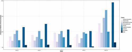 Figure 1. Shock coping in Burkina Faso over time.