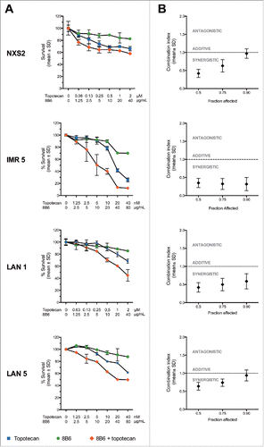 Figure 2. Anti-OAcGD2 mAb 8B6 synergizes with topotecan in vitro. The neuroblastoma cell lines IMR5, LAN1, LAN5, and NXS2 were treated either singly, or with combination of topotecan and mAb 8B6, as indicated, and the MTT viability assay was carried out after 72 hours. (A) Dose-response curves and (B) combination index plots. Dose-response curves shown are representative of three independent replicates. Percentage survival values were transformed into Fraction affected (Fa) values and used to calculate combination index (measure of synergy, additivity and antagonism) using Compusyn software. In the combination index plots, data are presented as mean ± SEM for three independent replicates. Results showed that mAb 8B6 had a synergistic effect with topotecan (CI < 1).