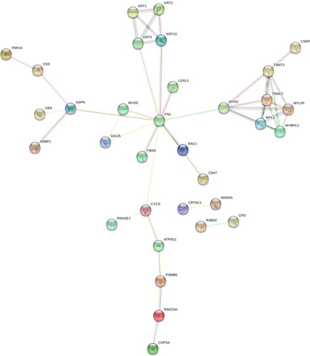 Figure 2 Key target network of the downregulated DEPs in the severe and mild groups. The line represents a protein interaction recorded or predicted by STRING, and each box represents a key protein recorded by Cytoscape.