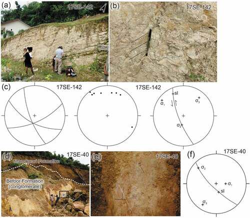 Figure 12. (A) Excavation in Befoor Formation that shows bedding (S0 20°/305°), small faults, and joints, locality 17SE–142 (0°52’39.751“S, 134°5’21.352“E). (b) Close-up of small fault showing gently plunging slickenlines. (c) Lower hemisphere equal-area stereonets; left, 3 great circles to faults, middle, 8 poles to joints, and right, principal stresses related to small sinistral strike-slip fault with slickenlines in (b). (d) Outcrop of fault scarp in the Befoor Formation overlain by Manokwari Formation at locality 17SE–40 (0°54’50.259“S, 134°1’30.528“E). (e) Steeply pitching slickenlines (dotted white line) along the fault surface (as shown in box in (d)). (f) Lower hemisphere equal-area stereonet showing normal fault (great circle), slickenlines (cross, sl) and principal stress orientations.