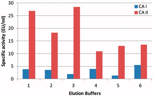 Figure 2. Effect of different buffers for elution of hCA I and hCA II. 1. 50 mM Na2HPO4/1 M NaCl – 50 mM Na2HPO4/0.2 M KSCN; 2. 0.1 M KI/0.1 M Tris-SO4 – 50 mM Na2HPO4/0.2 M KSCN; 3. 0.1 M KI/0.1 M Tris-SO4 – 0.1 M NaCH3COO/0.5 M NaCIO4; 4. 50 mM Na2HPO4/1 M NaCl – 0.4 M NaN3/0.1 M Tris-SO4; 5. KI/Tris-SO4 – 0.4 M NaN3/0.1 M Tris-SO4; 6. 50 mM Na2HPO4/1 M NaCl – 0.1 M NaCH3COO/0.5 M NaCIO4.
