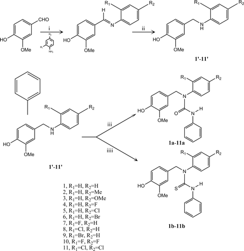 Scheme 1.  Synthesis route of compounds 1a–11a and 1b–11b. Reagents and conditions: (i) ethanol, rt, 4 h; (ii) ethanol, NaBH4, reflux, 2 h; (iii) phenylisocyanate, chloroform, reflux, overnight; (iiii) phenylisothiocyanate, chloroform, reflux, overnight.