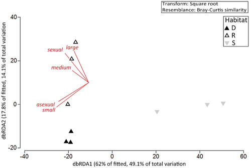 FIGURE 3. Distance-based redundancy analysis (dbRDA) on plot means for Oribatida communities and their ecological traits (body size and reproductive type) in the alpine cushion fields in the Remarkables. Habitats: D = Dracophyllum cushions, R = Raoulia cushions, S = soil in the open ground. DistLM best predictors of community composition: R2 = 0.48, p(small) = 0.001, p(asexual) = 0.001.