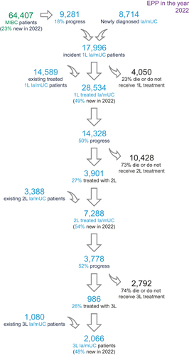 Figure 4 US 2022 la/mUC patient flow and annual treated prevalence.