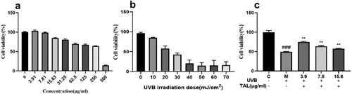 Figure 2. Toxicity assay of HaCaT cells: (a) Effects of different concentrations of TAL on cell viability; (b) Effects of different doses of UVB on cell viability; (c) Reparative effects of different concentrations of TAL on damaged cells (C: Control group; M: UVB irradiation model group).